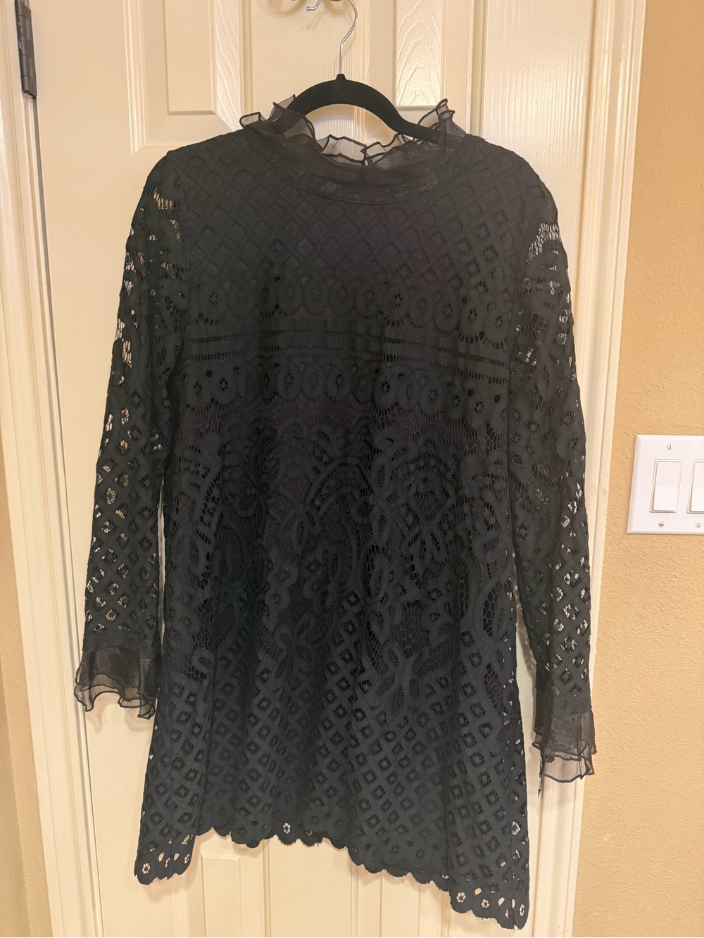 Lulu's Black Lace Mini Dress with Ruffle Neck